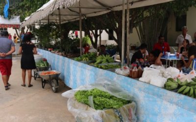 CONVITE: VEM AÍ A 6ª FEIRA AGROECOLÓGICA DA ESCOLA AGRÍCOLA DE MACAÚBAS – BA