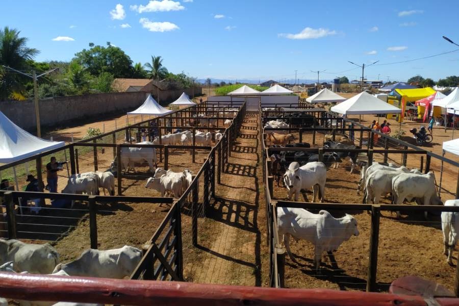 MACAÚBAS INAUGURA CENTRO DE COMERCIALIZAÇÃO E EXPOSIÇÃO DE ANIMAIS