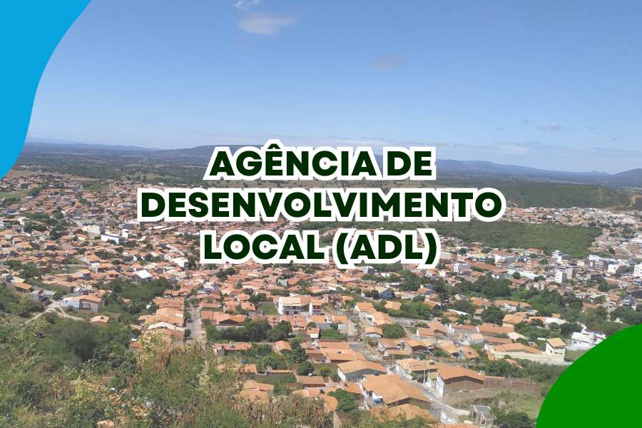 O PAPEL DA ADL NA TRANSFORMAÇÃO DE MACAÚBAS: DESENVOLVIMENTO COM IDENTIDADE LOCAL
