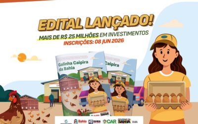 PREPARE-SE: EDITAL CAR Nº 009/2026 VAI IMPULSIONAR A AVICULTURA CAIPIRA NA BAHIA